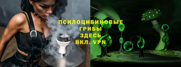 spice Алзамай