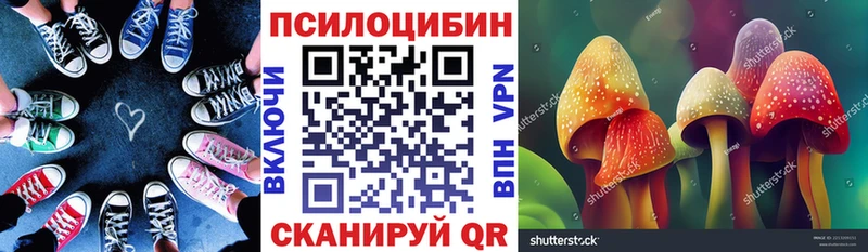это какой сайт  Межгорье  Галлюциногенные грибы MAGIC MUSHROOMS 