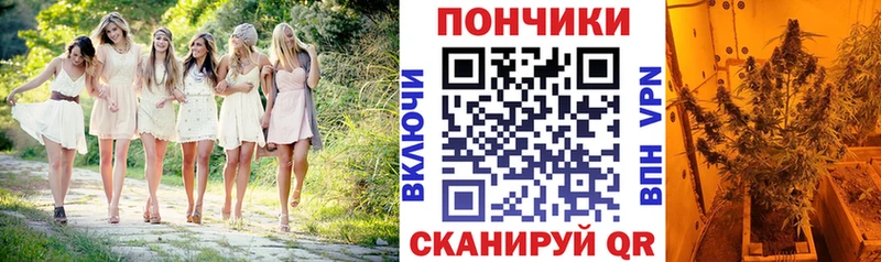 купить   Межгорье  Бошки марихуана план 